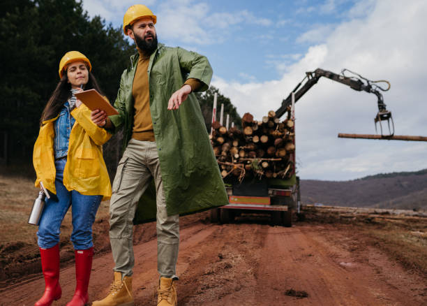 istock Two Forest rangers in the forest 1481742683