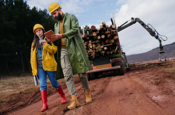 istock Two Forest rangers in the forest 1481743098