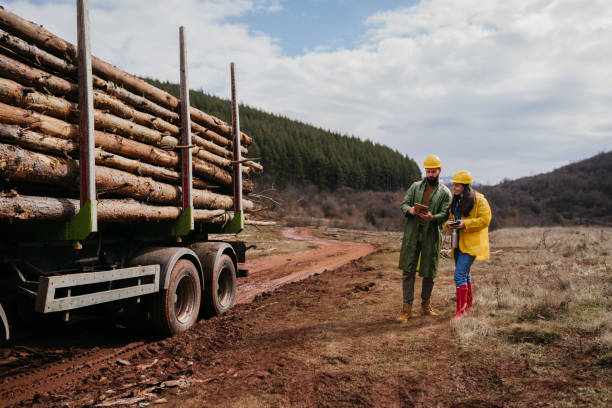 istock Two Forest rangers in the forest 1481743216