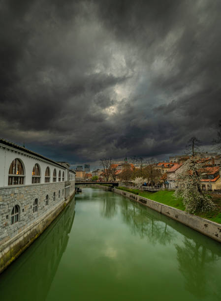 Ljubljanica river with green water in spring day in capital Ljubljana 03 31 2023 stock photo