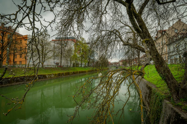 Ljubljanica river with green water in spring day in capital Ljubljana 03 31 2023 stock photo