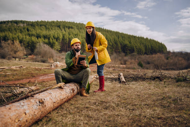 istock Business Strategy in the Forest 1481744695