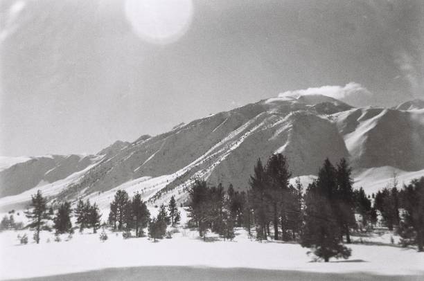 Black and white photo in film of sierra, Nevada mountains near Mammoth Mountain. The sun shines brightly into the camera over the snow covered mountains.