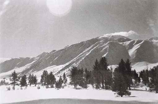 Black and white photo in film of sierra, Nevada mountains near Mammoth Mountain. The sun shines brightly into the camera over the snow covered mountains.