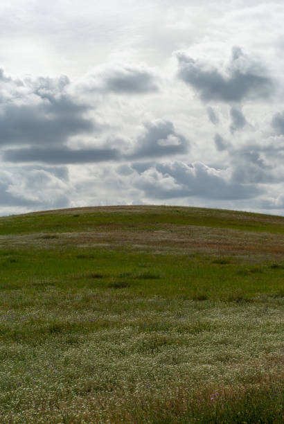 istock Vertical image of a hill covered in flowers with a cloudy sky. 1481747302