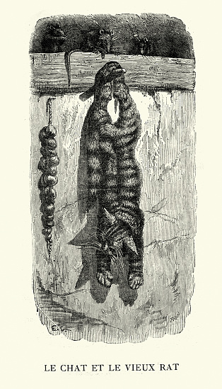 Vintage illustration of The cat and the old rat, Le chat et le vieux rat, Fables of Aesop, 19th Century. By François Pannemaker