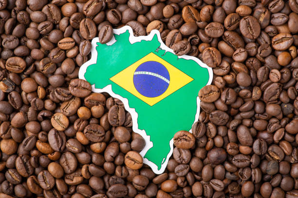 istock Flag and map of Brazil on coffee grain 1481751387