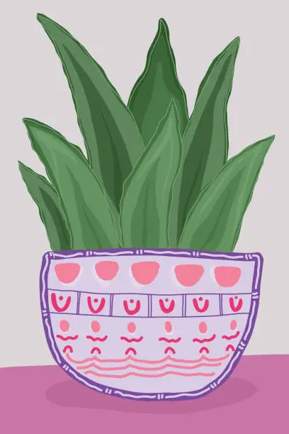 Vector illustration of Aloe vera plant