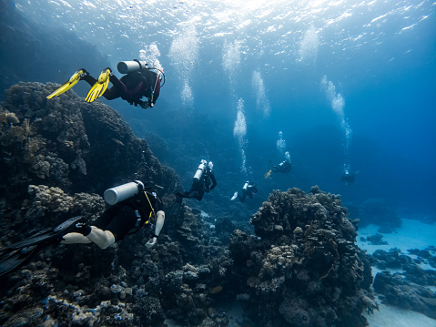 Scuba Diving group on a dive in a Coral Reef in the red sea