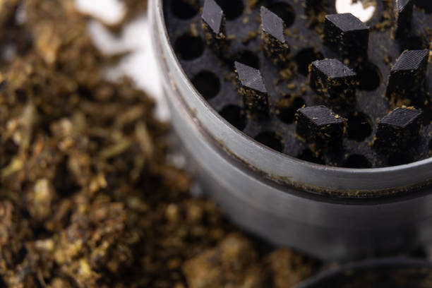 istock Mill for tobacco. grinder with marijuana close-up. Smoking mixture 1481754796