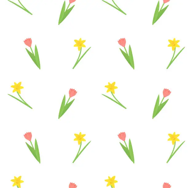 Vector illustration of Pink tulip and yellow daffodil seamless pattern with spring flowers. Vector narcissus illustration background