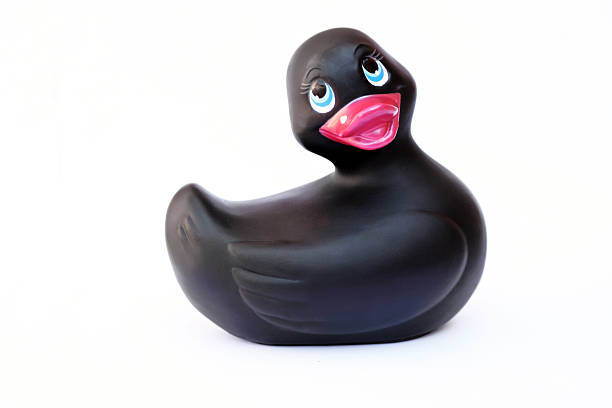 noir canard en caoutchouc - duckie photos et images de collection