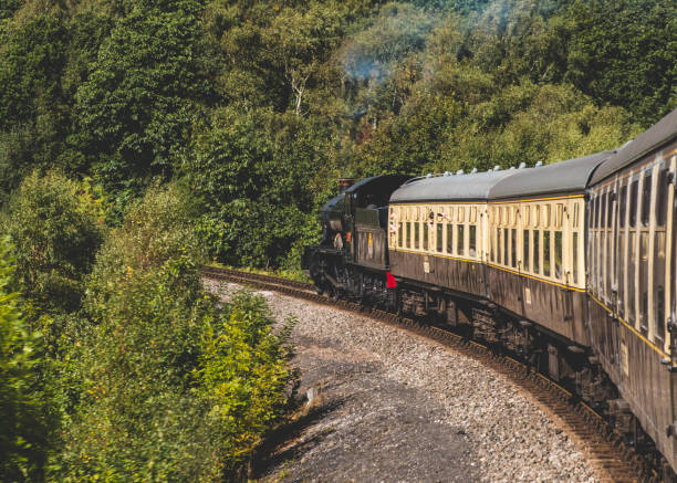 istock Dartmouth to Paignton Steam Train 1481763647
