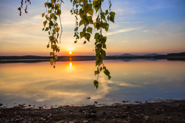 istock Beautiful sunset over the lake 1481764858