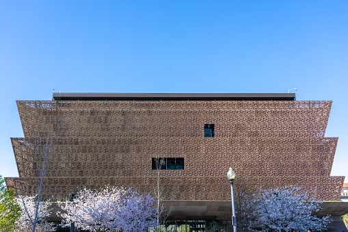 Washington D.C. March 26 2023: The Smithsonian African American Museum of History and Culture with Cherry Blossoms in Bloom