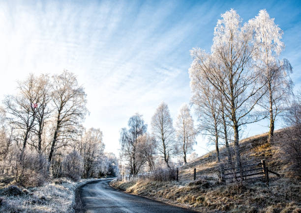 Winter scene of a frozen lake in the foreground and  trees covered in snow in the background. The photograph is taken from a lake on the hills in Northern Ireland.