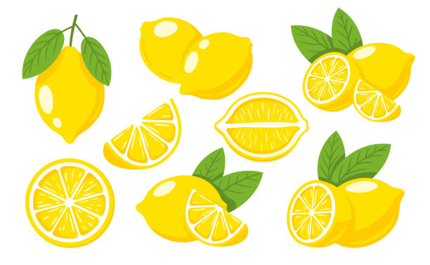 Yellow lemons isolated on white background Set of yellow lemons isolated on white background. Flat style. Vector illustration citric acid stock illustrations