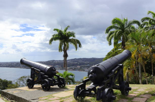 istock Cannons of Fort King George 1481775055