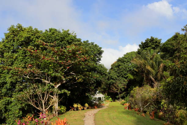 istock Trinidad Garden 1481775094