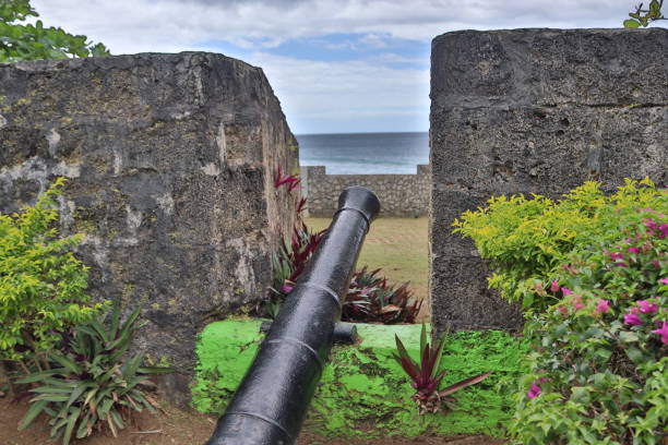 istock Fort Milford Cannon 1481776616