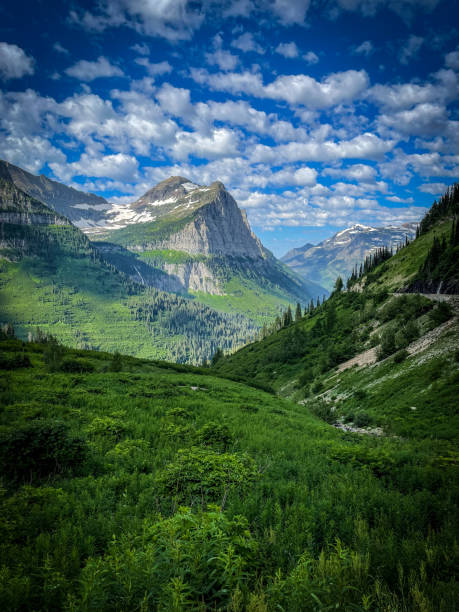 grüner gletscher - us glacier national park stock-fotos und bilder