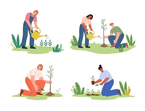 istock Set of diverse people gardening, plant trees. World Environment Day. Earth day. 1481783367