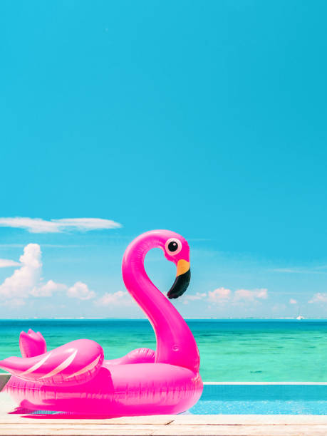 vacances d’été amusant culture verticale de flamant rose flotter sur infinity piscine de luxe resort avec fond bleu océan. - blue mattress vacations toy photos et images de collection