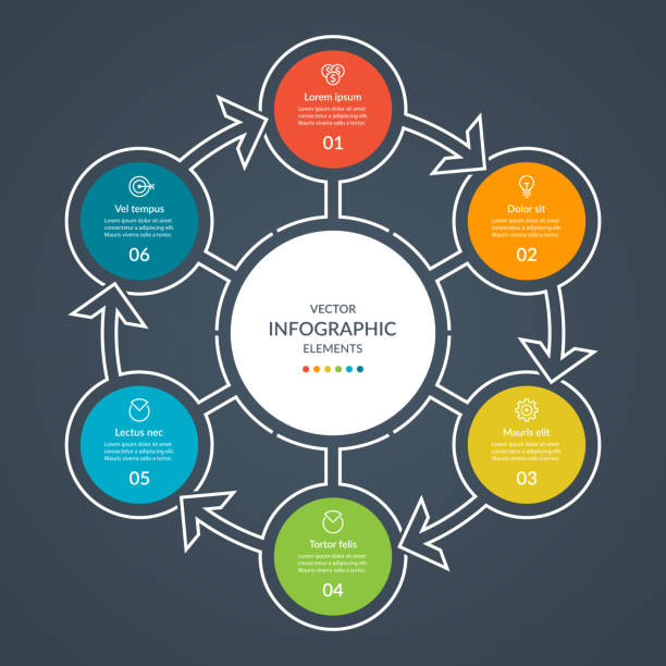 ilustraciones, imágenes clip art, dibujos animados e iconos de stock de sencillo círculo infográfico con 6 pasos. plantilla circular vectorial, gráfico redondo, diagrama de ciclo - media docena de huevos