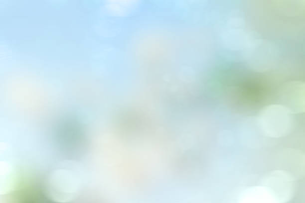 istock Blurred Spring Nature Background with Bokeh. Abstract blur green-blue color for background. Defocus art effect for design 1481803783