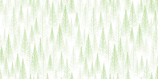 illustrazioni stock, clip art, cartoni animati e icone di tendenza di sfondo della foresta verde - lumber industry forest tree pine