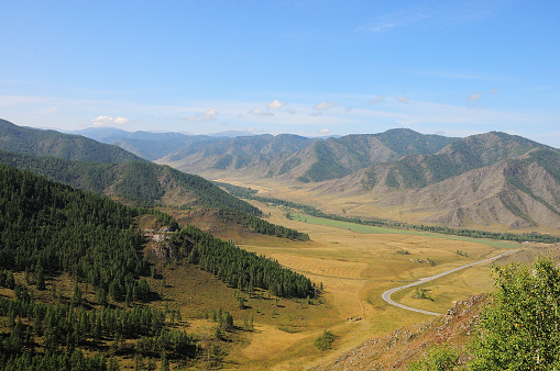 A narrow asphalt road windingly crosses a valley sandwiched in the mountains on a sunny summer day. Chike-Taman pass, Altai, Siberia, Russia.