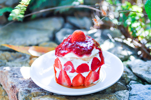 strawberry shortcake or strawberry cake with strawberry sauce topping