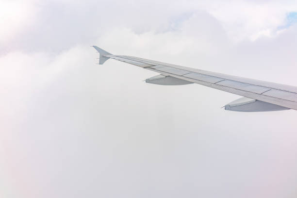 istock View from the airplane window at a beautiful cloudy sky and the airplane wing 1481816612