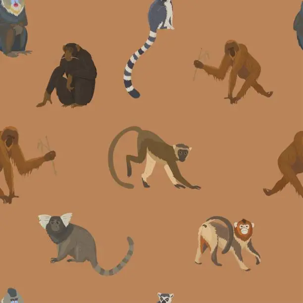 Vector illustration of Pattern with different types of monkeys. Variety of primates, mammals animals. Images for nature reserves, zoos and children's educational paraphernalia. Vector illustration. Isolated objects.