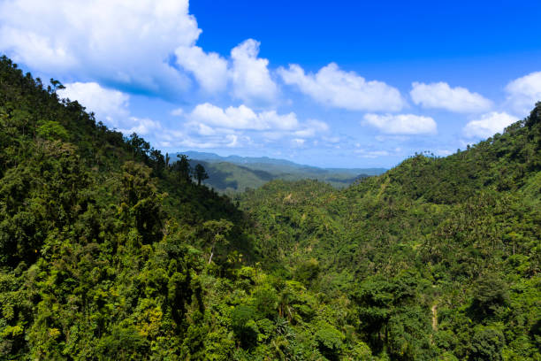 Tropical jungle covered hills against blue sky. High quality photo