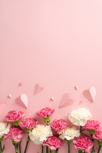 Concepto del día de la madre. Vista vertical superior plana de hermosas flores de clavel corazones de papel rosa sobre fondo rosa pastel con espacio vacío para texto o anuncio Perfecto para tu marca del día de la madre photo