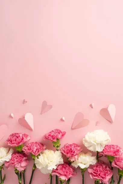 Mother's day concept. Top vertical view flat lay of beautiful carnation flowers pink paper hearts on pastel pink background with empty space for text or advert Perfect for your mother's day branding