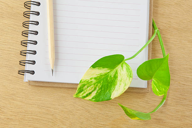 istock recycle notebook and wooden pencil 148182308