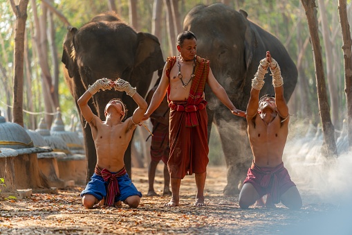 Moment of a two male muay thai practitioner demonstrating muaythai techniques and skill during sunset moments with the master kru and a mahout and two elephants at the background