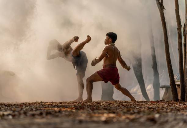 istock Muay Thai fighters. Thai kick boxing. Two male muay thai practitioner demonstrating muaythai techniques and skill during sunset moments with a mahout and two elephants at the background 1481825118