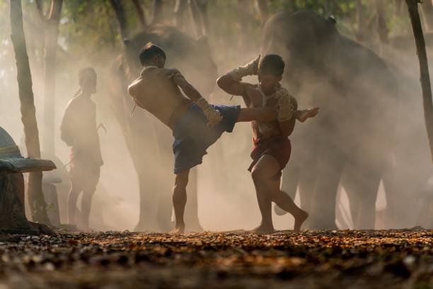Muay Thai fighters. Thai kick boxing. Two male muay thai practitioner demonstrating muaythai techniques and skill during sunset moments with a mahout and two elephants at the background Moment of a two male muay thai practitioner demonstrating muaythai techniques and skill during sunset moments with a mahout and two elephants at the background elephant handler stock pictures, royalty-free photos & images