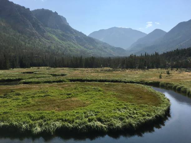 istock East Inlet River meanders its way across meadows along the trail. 1481829895