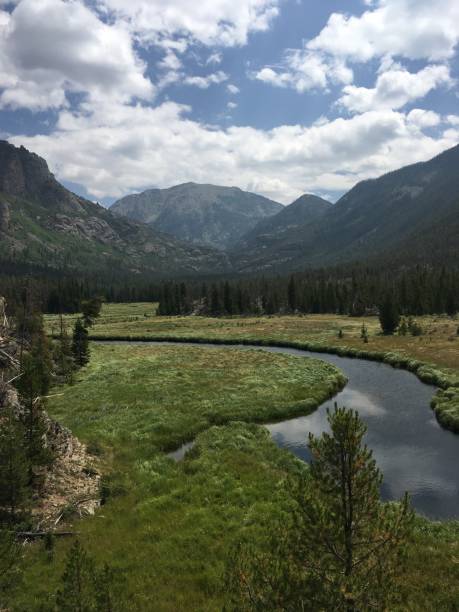 istock East Inlet River meanders its way across meadows along the trail. 1481829906
