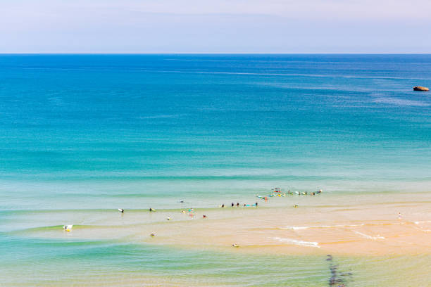 istock Surfers in the ocean at Cote des Basques beach in Biarritz 1481829909