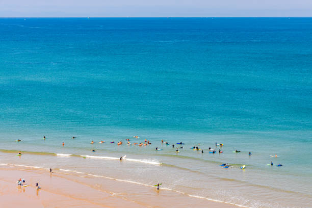 istock Surfers in the ocean at Cote des Basques beach in Biarritz 1481829910