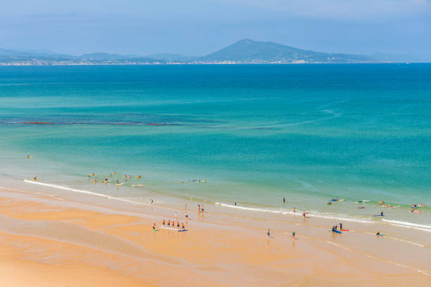 istock Surfers in the ocean at Cote des Basques beach in Biarritz 1481829921