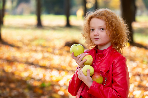 Beautiful red-haired girl in the autumn park holding apples.