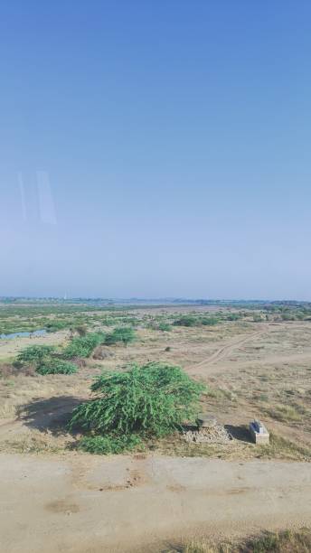 istock Natural green plants landscape background 1481834423