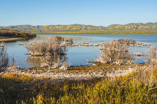 Soda Lake,the largest remaining natural alkali wetland in southern California. Lake concentrates salts as water is evapoarted away, leaving white deposits of sulfates and carbonates, Carrizo Plain