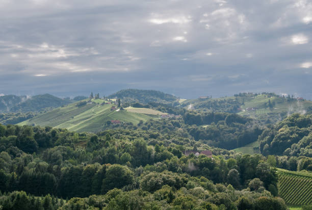 istock Dark Clouds after heavy rain in summer 1481835520